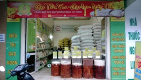 Sieuthigaongon Chi nhánh Thanh Hóa